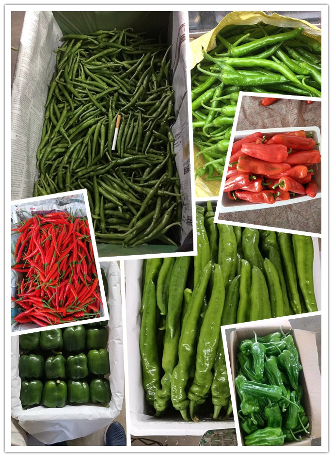 俄罗斯专享会294·VIP(中国区)官方网站