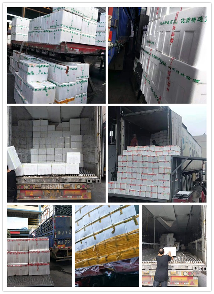 俄罗斯专享会294·VIP(中国区)官方网站