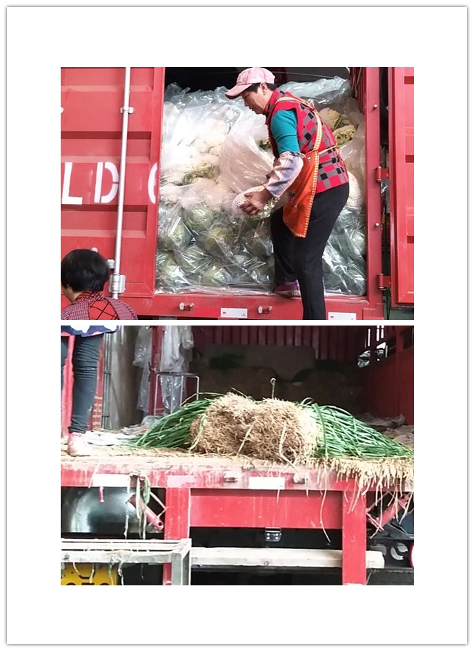 俄罗斯专享会294·VIP(中国区)官方网站