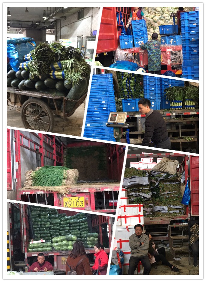 俄罗斯专享会294·VIP(中国区)官方网站