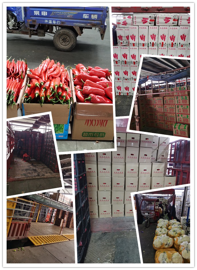 俄罗斯专享会294·VIP(中国区)官方网站