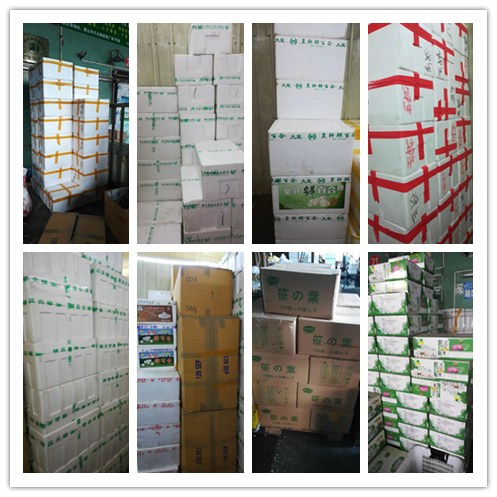 俄罗斯专享会294·VIP(中国区)官方网站