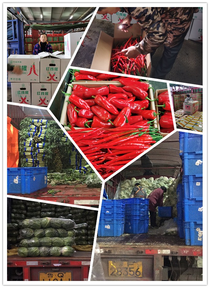 俄罗斯专享会294·VIP(中国区)官方网站