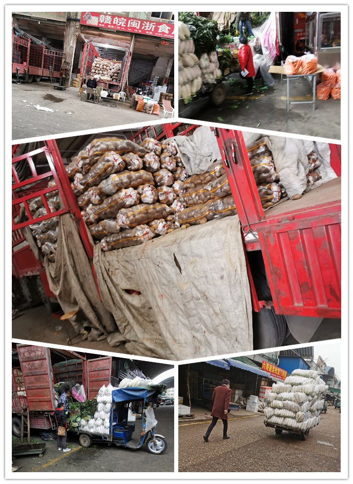 俄罗斯专享会294·VIP(中国区)官方网站