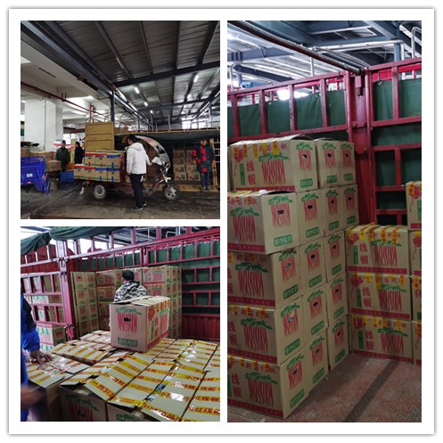 俄罗斯专享会294·VIP(中国区)官方网站