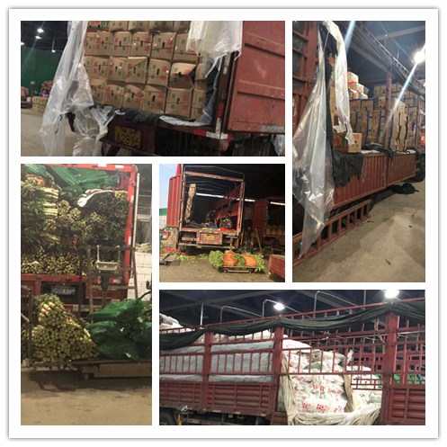 俄罗斯专享会294·VIP(中国区)官方网站