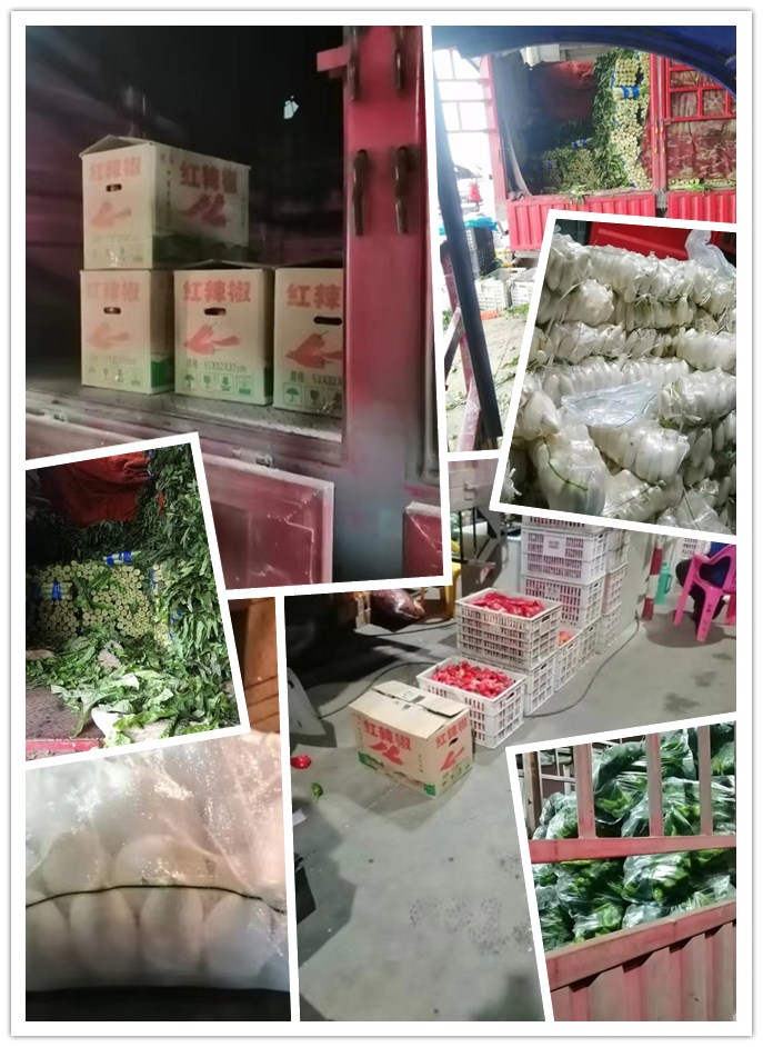 俄罗斯专享会294·VIP(中国区)官方网站