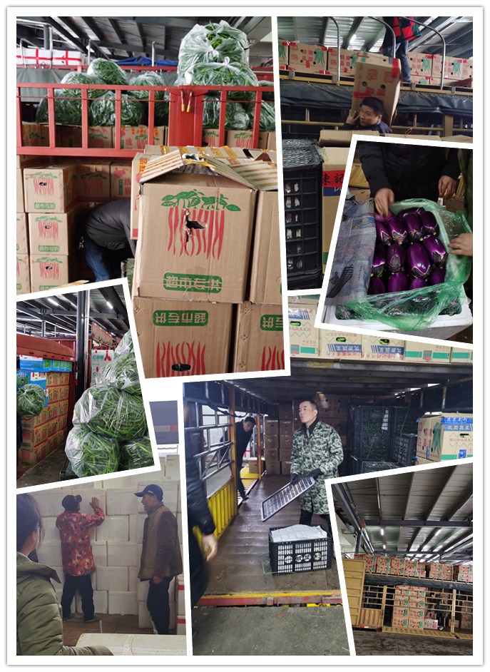 俄罗斯专享会294·VIP(中国区)官方网站