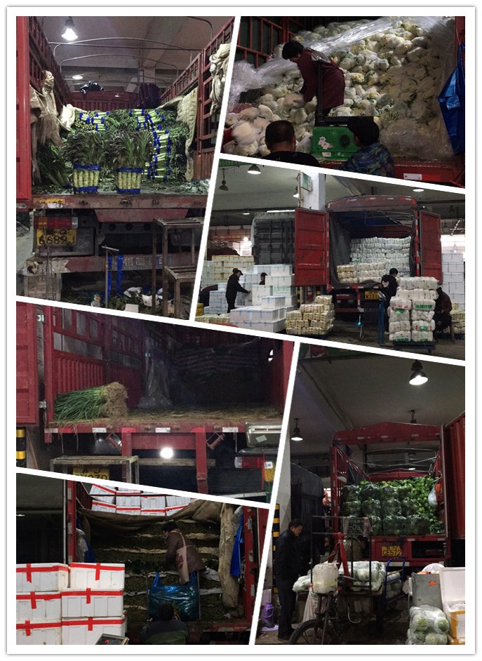 俄罗斯专享会294·VIP(中国区)官方网站