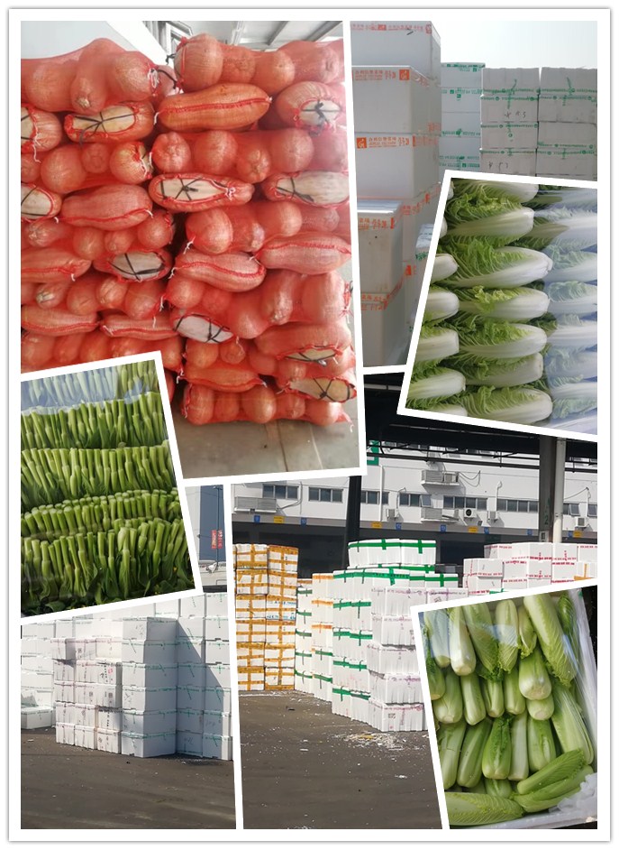 俄罗斯专享会294·VIP(中国区)官方网站