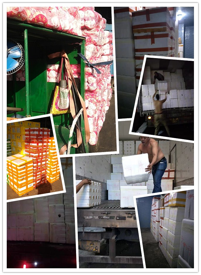 俄罗斯专享会294·VIP(中国区)官方网站