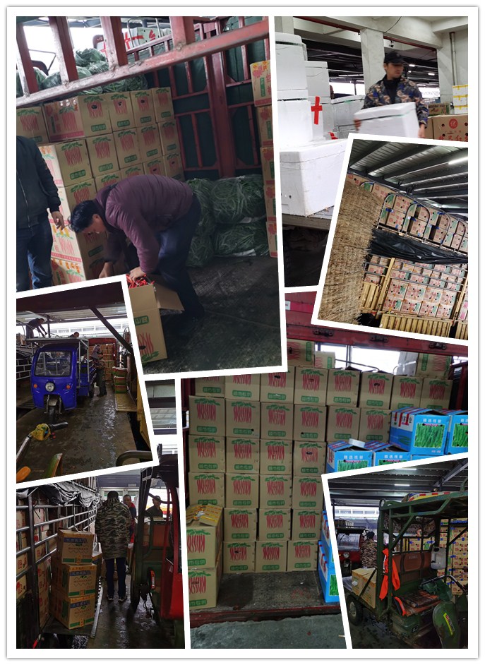 俄罗斯专享会294·VIP(中国区)官方网站