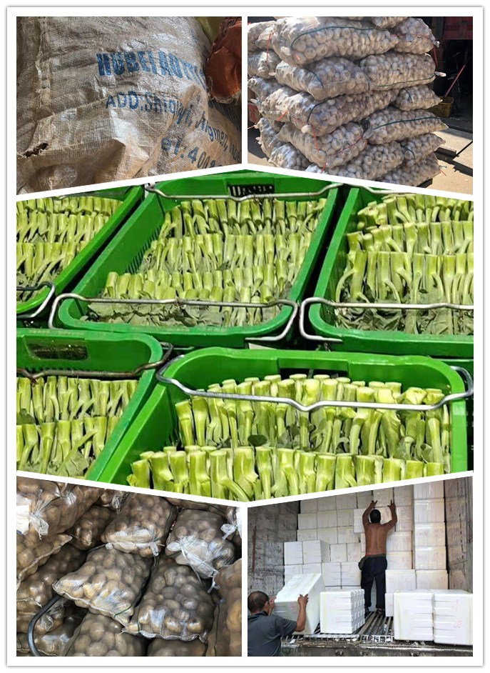 俄罗斯专享会294·VIP(中国区)官方网站