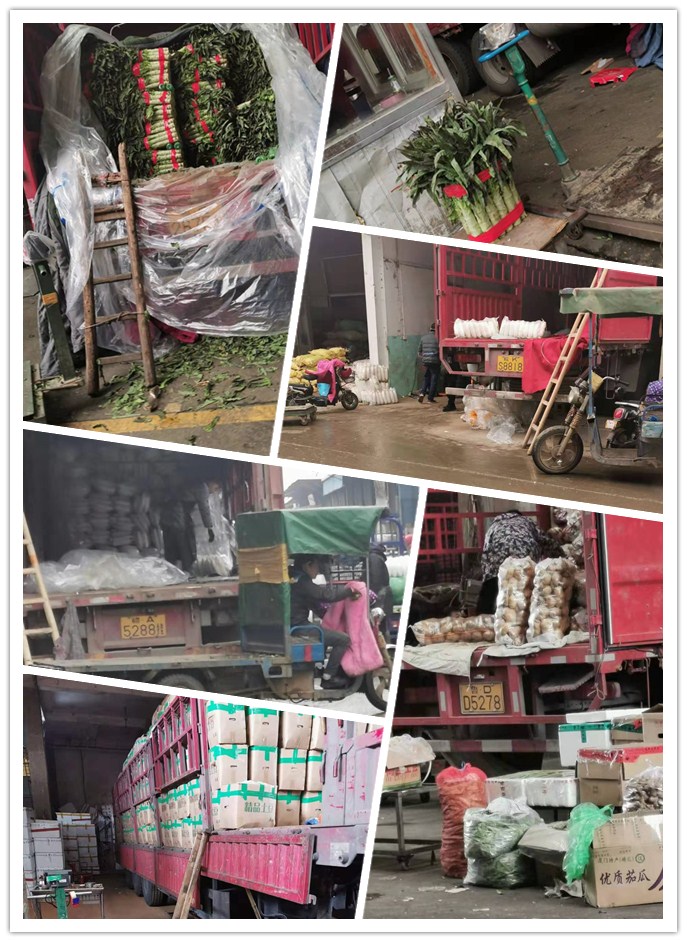 俄罗斯专享会294·VIP(中国区)官方网站