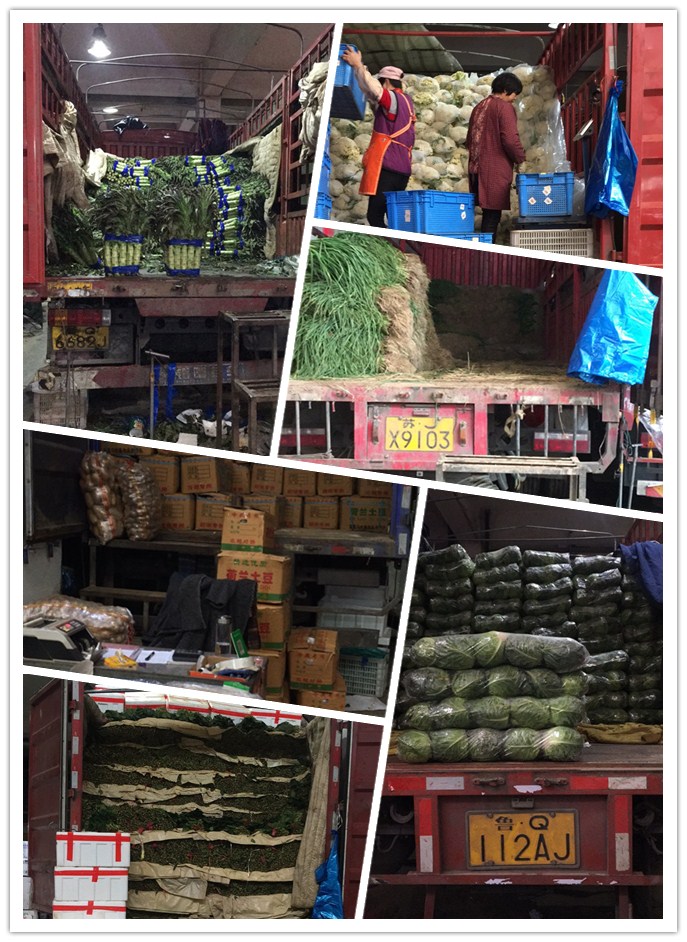 俄罗斯专享会294·VIP(中国区)官方网站