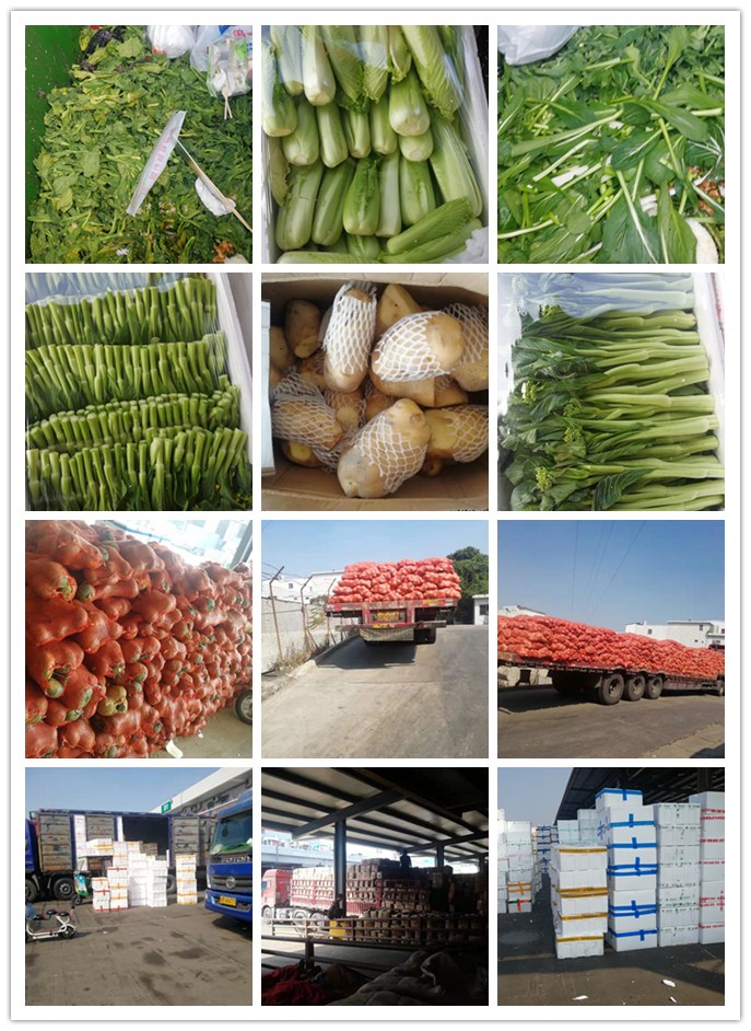 俄罗斯专享会294·VIP(中国区)官方网站