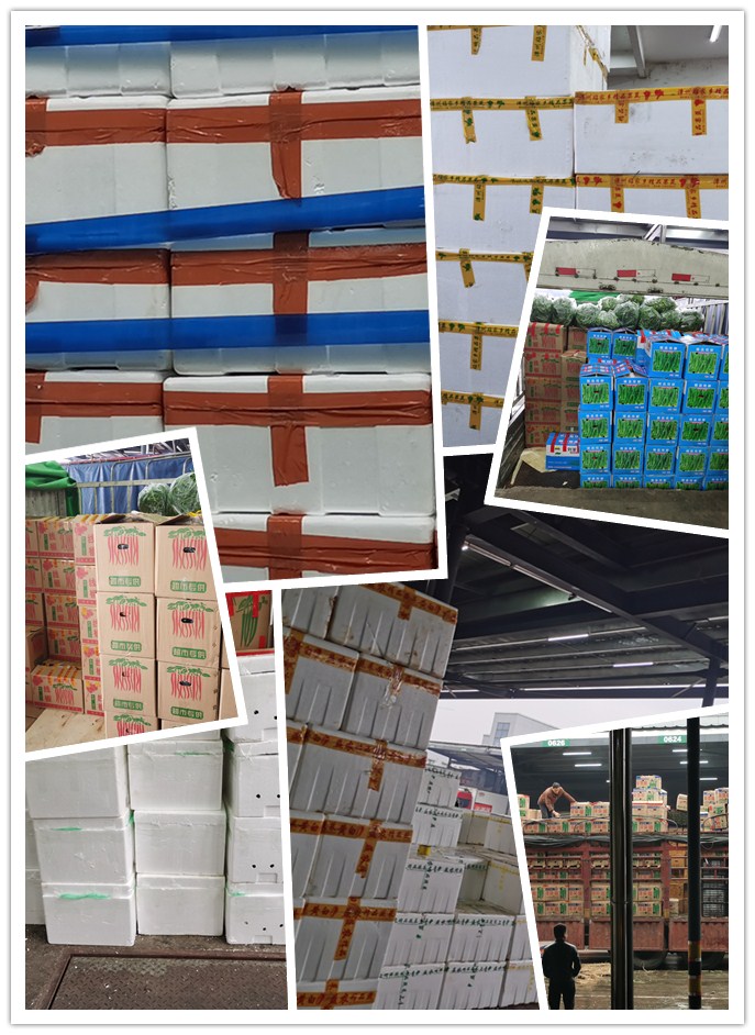 俄罗斯专享会294·VIP(中国区)官方网站