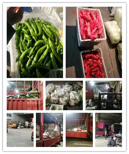 俄罗斯专享会294·VIP(中国区)官方网站