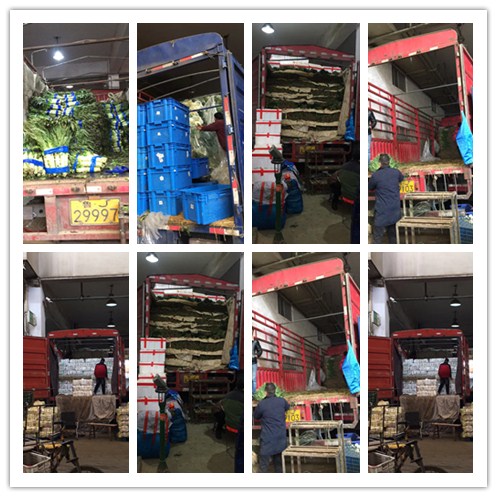 俄罗斯专享会294·VIP(中国区)官方网站