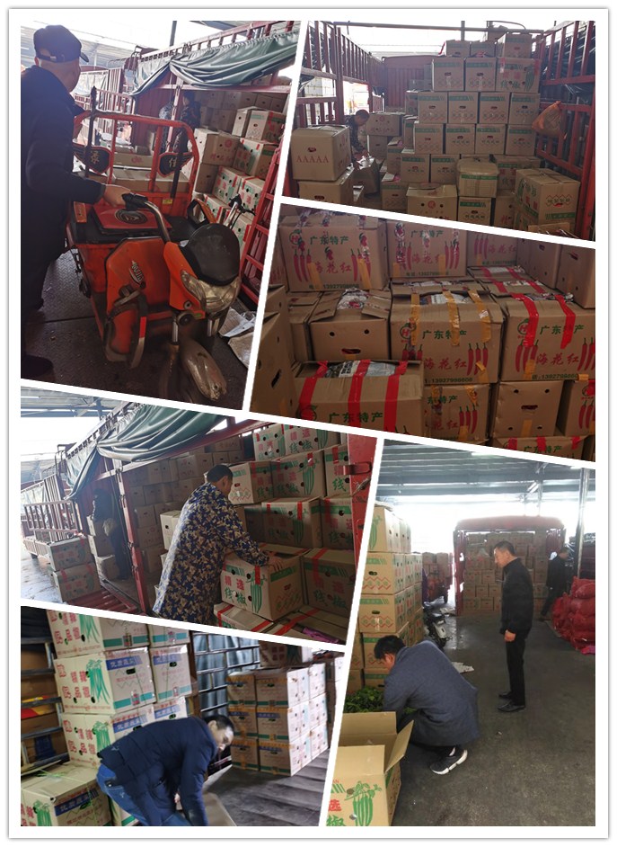 俄罗斯专享会294·VIP(中国区)官方网站