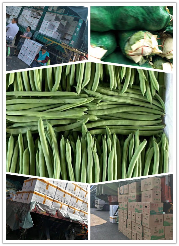 俄罗斯专享会294·VIP(中国区)官方网站