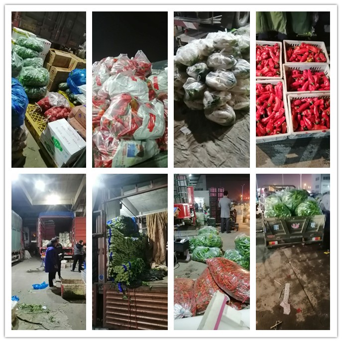 俄罗斯专享会294·VIP(中国区)官方网站