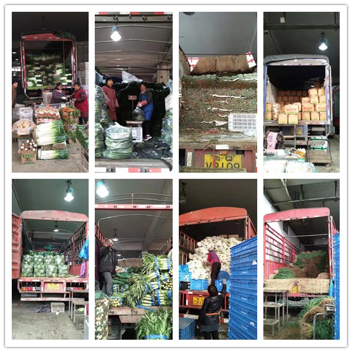 俄罗斯专享会294·VIP(中国区)官方网站