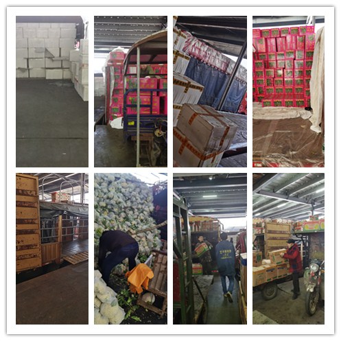 俄罗斯专享会294·VIP(中国区)官方网站