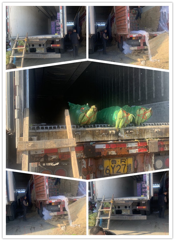 俄罗斯专享会294·VIP(中国区)官方网站