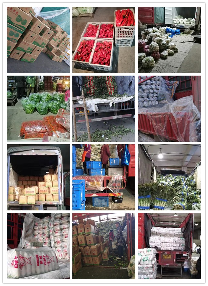 俄罗斯专享会294·VIP(中国区)官方网站