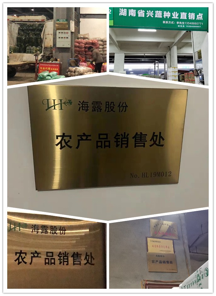 俄罗斯专享会294·VIP(中国区)官方网站