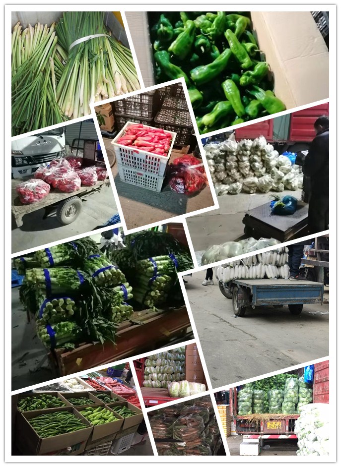 俄罗斯专享会294·VIP(中国区)官方网站