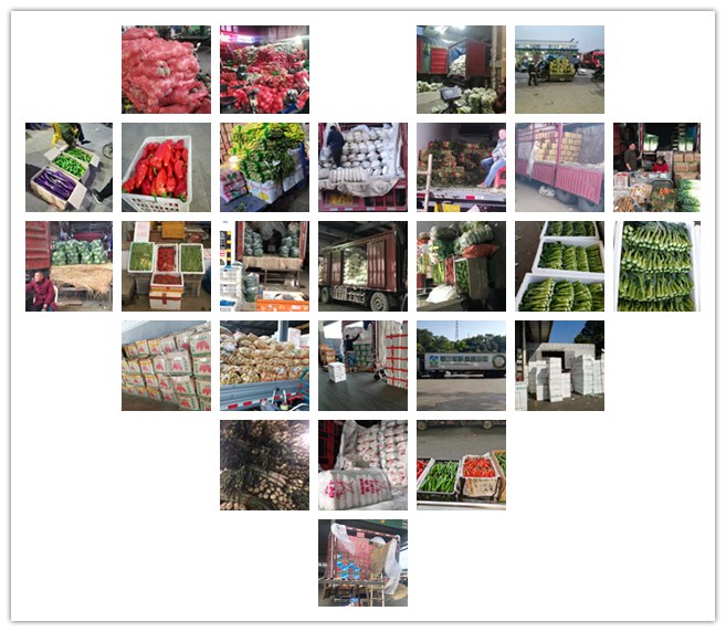 俄罗斯专享会294·VIP(中国区)官方网站