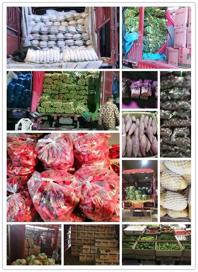 俄罗斯专享会294·VIP(中国区)官方网站