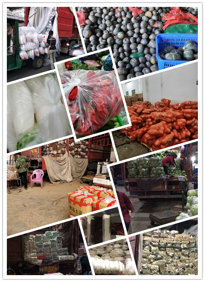 俄罗斯专享会294·VIP(中国区)官方网站