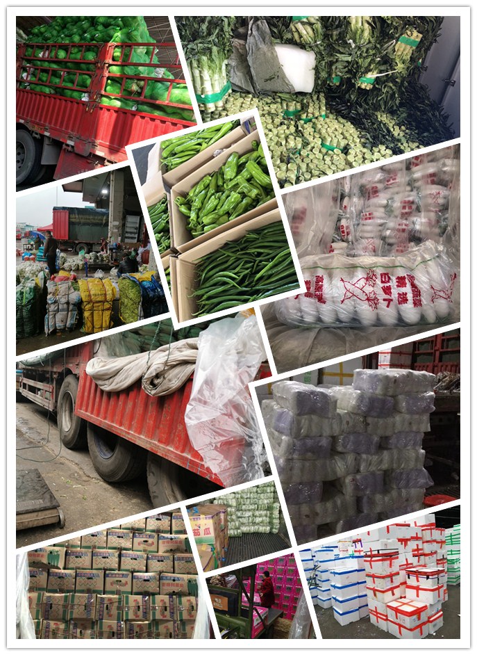 俄罗斯专享会294·VIP(中国区)官方网站