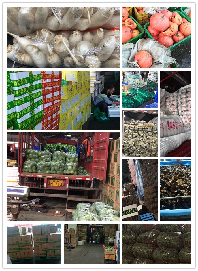 俄罗斯专享会294·VIP(中国区)官方网站