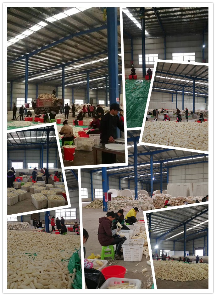 俄罗斯专享会294·VIP(中国区)官方网站