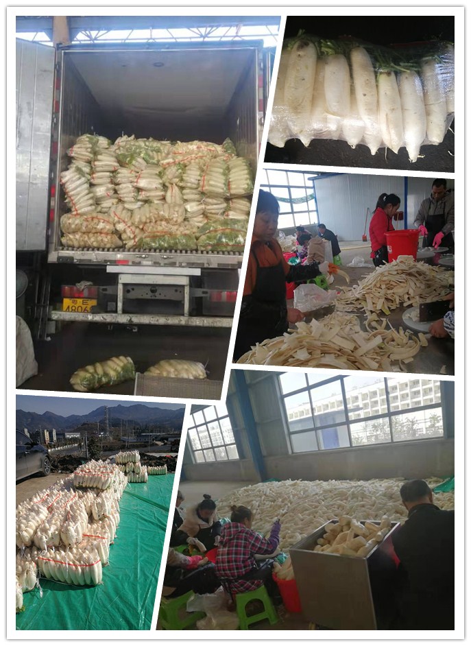 俄罗斯专享会294·VIP(中国区)官方网站