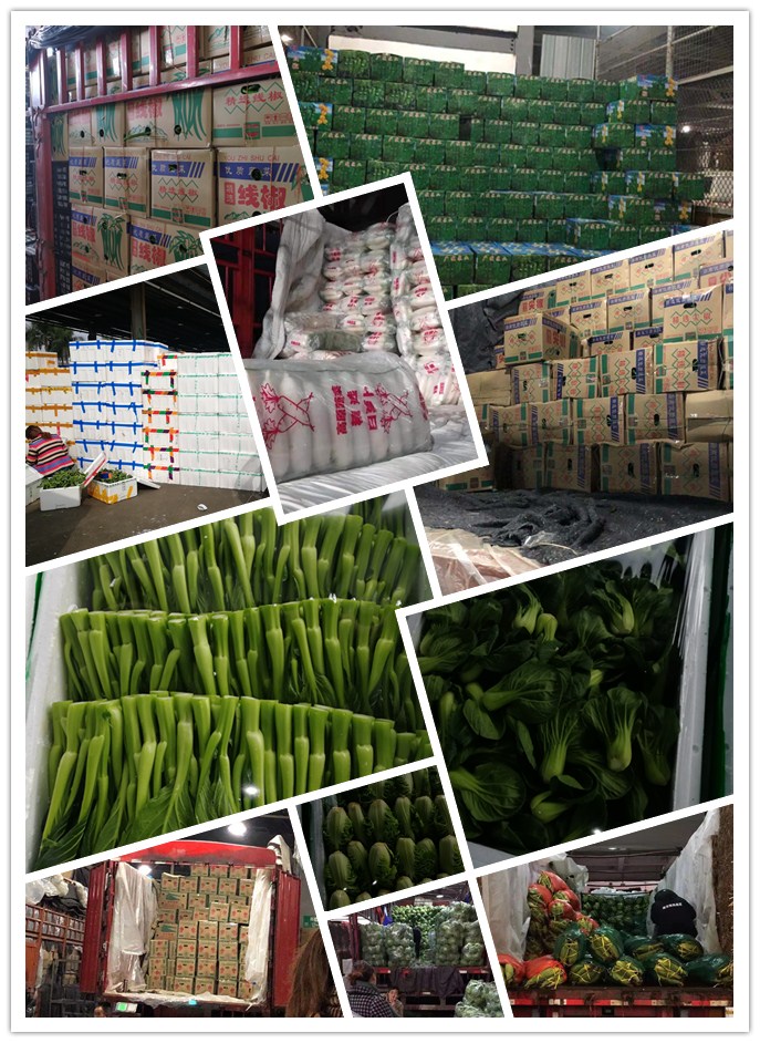 俄罗斯专享会294·VIP(中国区)官方网站