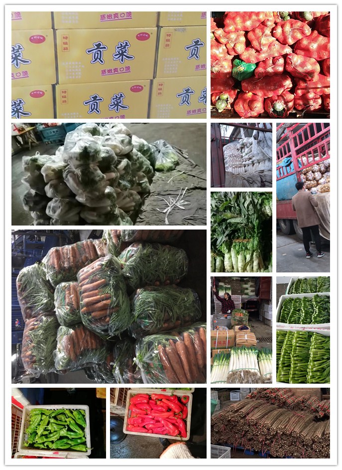 俄罗斯专享会294·VIP(中国区)官方网站