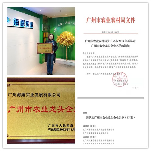 俄罗斯专享会294·VIP(中国区)官方网站