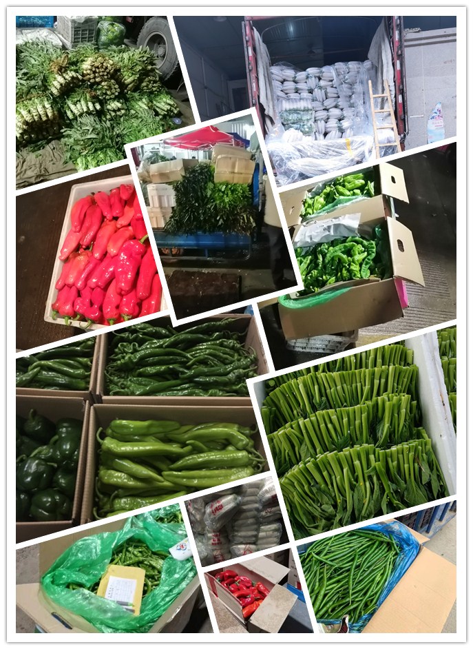 俄罗斯专享会294·VIP(中国区)官方网站