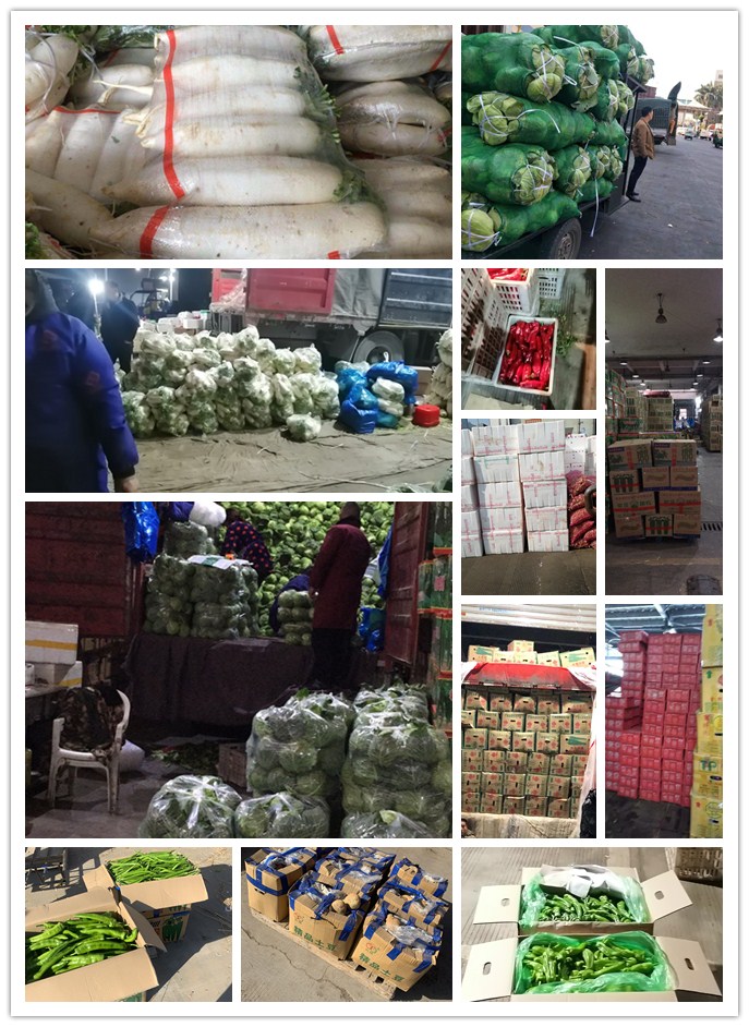 俄罗斯专享会294·VIP(中国区)官方网站