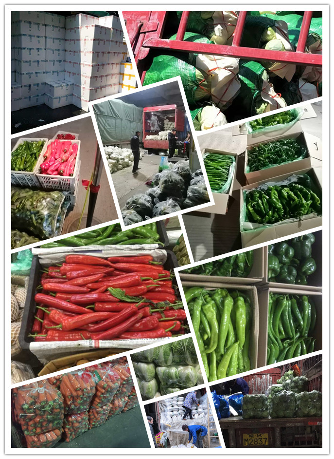 俄罗斯专享会294·VIP(中国区)官方网站