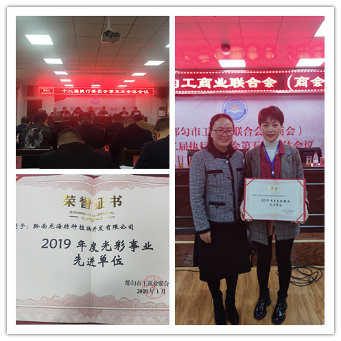 俄罗斯专享会294·VIP(中国区)官方网站