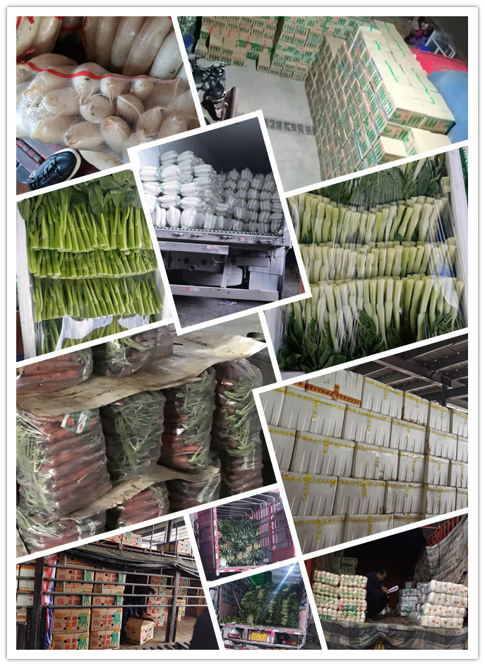 俄罗斯专享会294·VIP(中国区)官方网站