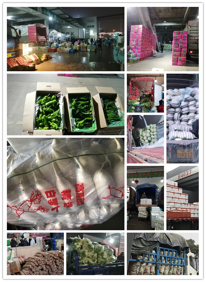 俄罗斯专享会294·VIP(中国区)官方网站