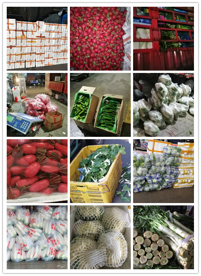 俄罗斯专享会294·VIP(中国区)官方网站