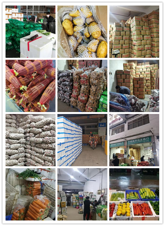 俄罗斯专享会294·VIP(中国区)官方网站